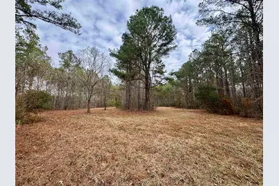 106.6 Acres-Tbd Highway 52, Salters, SC 29590 - Photo 33