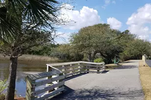 1259 Oatland Lake Rd, Pawleys Island, SC 29585 - Photo 33