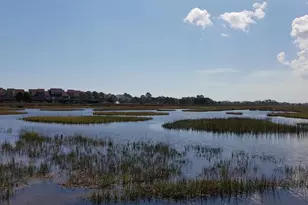 1259 Oatland Lake Rd, Pawleys Island, SC 29585 - Photo 39