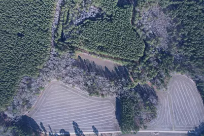 23.30 Acres-Tbd Dainty Ave, Kingstree, SC 29556 - Photo 11