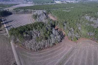 23.30 Acres-Tbd Dainty Ave, Kingstree, SC 29556 - Photo 13