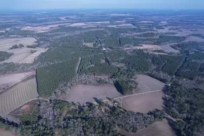 23.30 Acres-Tbd Dainty Ave, Kingstree, SC 29556 - Photo 17