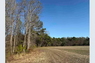 23.30 Acres-Tbd Dainty Ave, Kingstree, SC 29556 - Photo 3