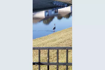 147 Cassina Dr., Longs, SC 29568 - Photo 47