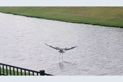 147 Cassina Dr., Longs, SC 29568 - Photo 7