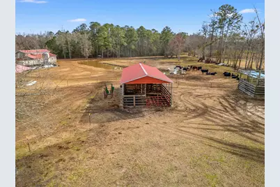 795 Dog Bluff Rd., Galivants Ferry, SC 29544 - Photo 11