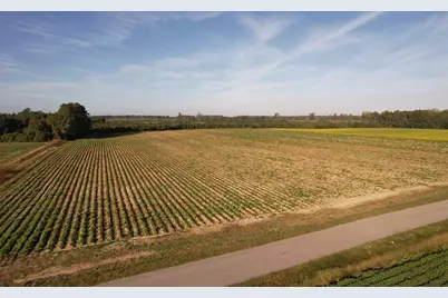 22 Acres-Tbd Baxley Rd., Hemingway, SC 29554 - Photo 1