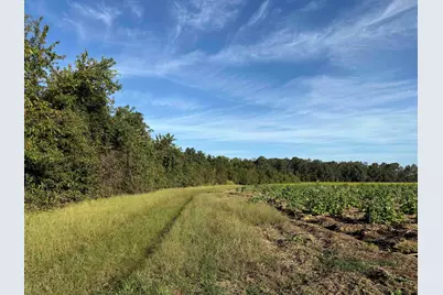 22 Acres-Tbd Baxley Rd., Hemingway, SC 29554 - Photo 17