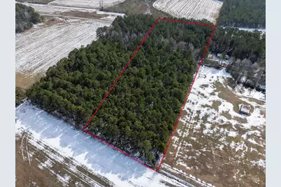 Tbd Carroll Todd Rd., Conway, SC 29526 - Photo 3