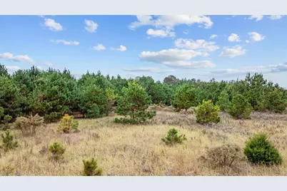 Lot 9 Creek Landing Rd, Nichols, SC 29581 - Photo 11