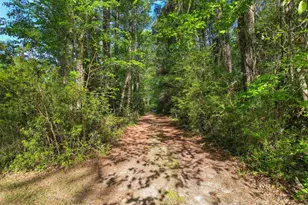 3534 Nichols Hwy, Galivants Ferry, SC 29544 - Photo 39