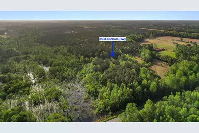 3534 Nichols Hwy., Galivants Ferry, SC 29544 - Photo 43
