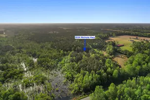 3534 Nichols Hwy, Galivants Ferry, SC 29544 - Photo 43