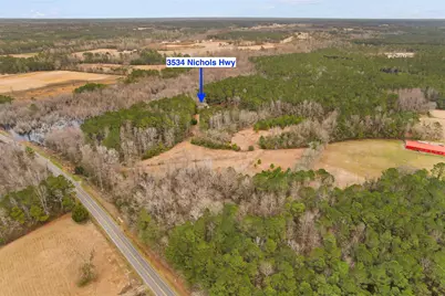 3534 Nichols Hwy., Galivants Ferry, SC 29544 - Photo 37