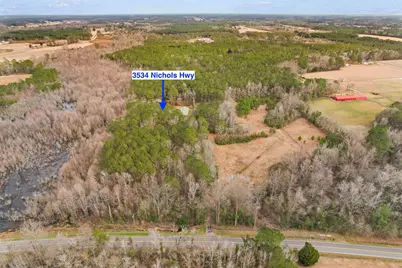 3534 Nichols Hwy., Galivants Ferry, SC 29544 - Photo 39