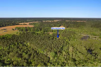 3534 Nichols Hwy., Galivants Ferry, SC 29544 - Photo 47