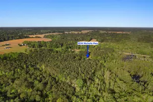 3534 Nichols Hwy, Galivants Ferry, SC 29544 - Photo 47