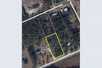 Tbd Retired Ave., Marion, SC 29571 - Photo 3