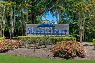 216 Bent Green Ct, Murrells Inlet, SC 29576 - Photo 17