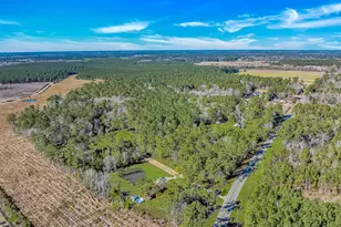 81 Silver Pond Ln, Hemingway, SC 29554 - Photo 39