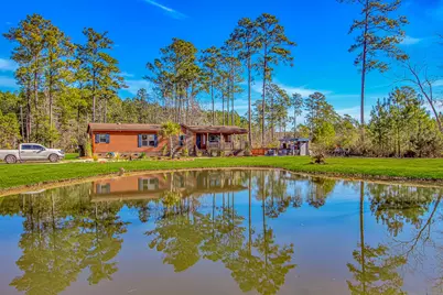 81 Silver Pond Ln, Hemingway, SC 29554 - Photo 3