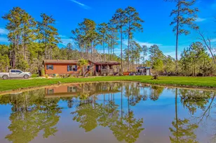 81 Silver Pond Ln, Hemingway, SC 29554 - Photo 3