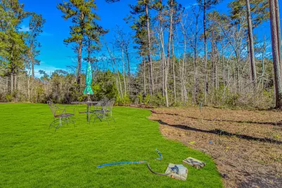 81 Silver Pond Ln, Hemingway, SC 29554 - Photo 27
