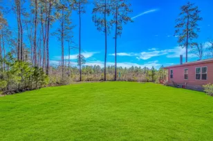 81 Silver Pond Ln, Hemingway, SC 29554 - Photo 29