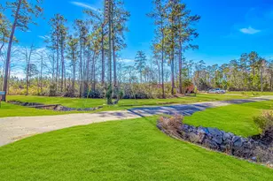 81 Silver Pond Ln, Hemingway, SC 29554 - Photo 33