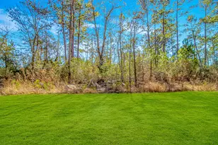 81 Silver Pond Ln, Hemingway, SC 29554 - Photo 35