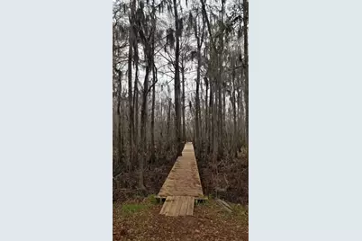 3120 Highmarket St., Georgetown, SC 29440 - Photo 5