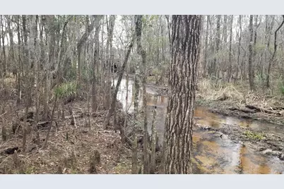 3120 Highmarket St., Georgetown, SC 29440 - Photo 9