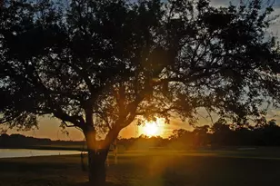 703 Collins Meadow Dr, Georgetown, SC 29440 - Photo 47