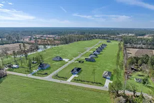 4138 Hwy 554, Loris, SC 29569 - Photo 31