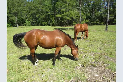 4013 Thomas Rd., Little River, SC 29566 - Photo 11