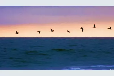 Lot 1-A Brace Dr., Pawleys Island, SC 29585 - Photo 27