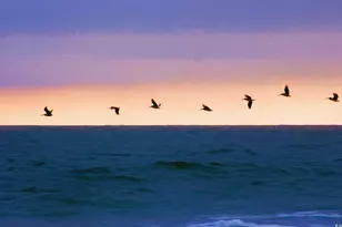 Lot 1-A Brace Dr, Pawleys Island, SC 29585 - Photo 27