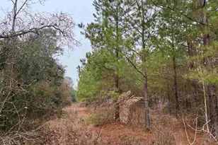 25 93Acres-4567 Dunham Rd, Bethune, SC 29009 - Photo 17