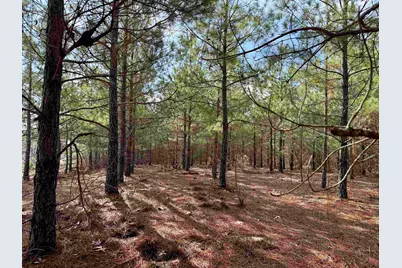 25.93Acres-4567 Dunham Rd, Bethune, SC 29009 - Photo 5
