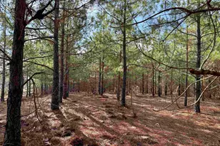 25 93Acres-4567 Dunham Rd, Bethune, SC 29009 - Photo 5