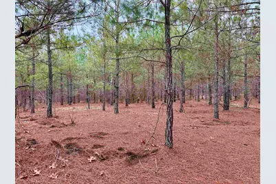 25.93Acres-4567 Dunham Rd, Bethune, SC 29009 - Photo 15