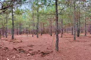 25 93Acres-4567 Dunham Rd, Bethune, SC 29009 - Photo 15