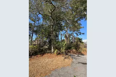 958 Tiffany Ln., North Myrtle Beach, SC 29582 - Photo 1