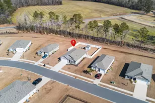 240 Country Grv Wy, Galivants Ferry, SC 29544 - Photo 35