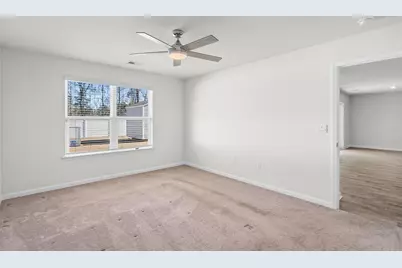 240 Country Grove Way, Galivants Ferry, SC 29544 - Photo 19