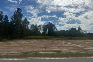 200 Zion Rd, Galivants Ferry, SC 29544 - Photo 31