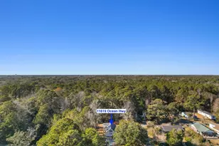 11619 Ocean Hwy, Pawleys Island, SC 29585 - Photo 31