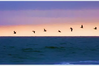 314 Tall Pines Way #6-32, Pawleys Island, SC 29585 - Photo 63