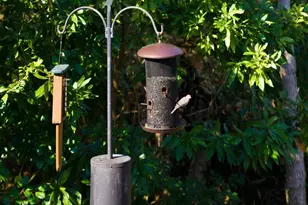 1136 Inlet View Dr, North Myrtle Beach, SC 29582 - Photo 37