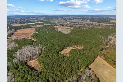 Tbd 183 Acres Blakely Rd., Salters, SC 29590 - Photo 5